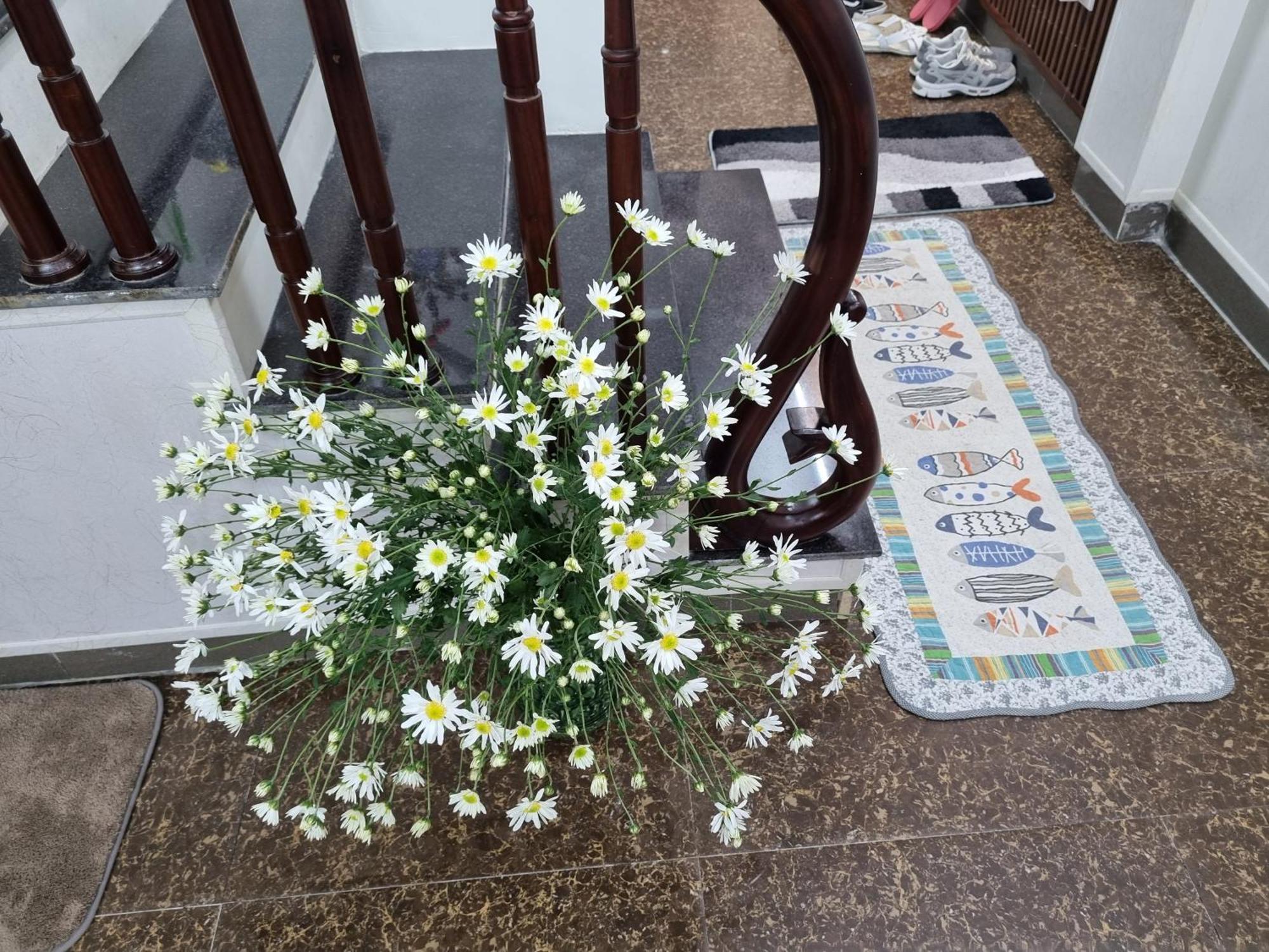 May'S Cottage Ханой Екстер'єр фото