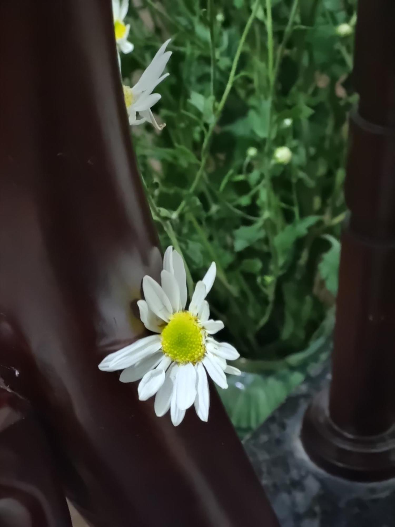 May'S Cottage Ханой Екстер'єр фото